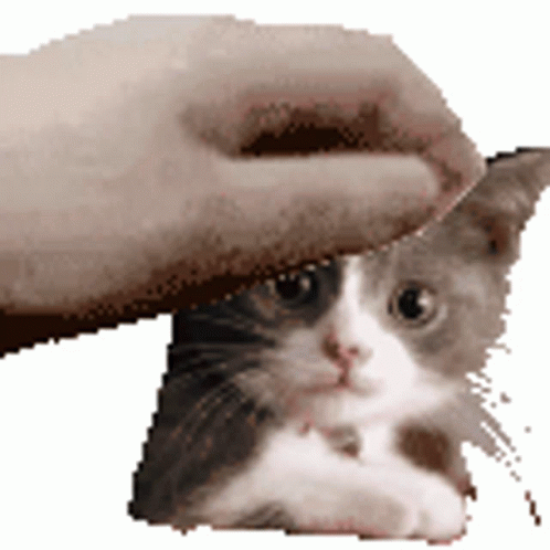 clicker